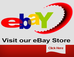 Online Ebay Auction